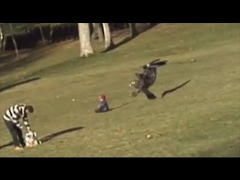 Youtube: Crazy Eagle Grabbing Baby Viral Video is Fake