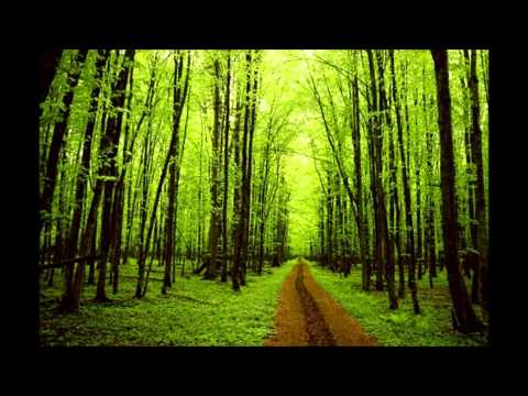 Youtube: Ian Hooper - Run to the Trees