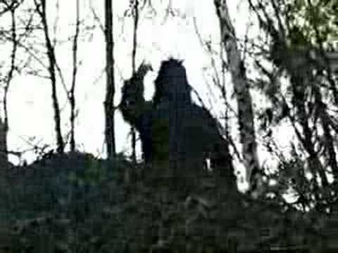 Youtube: SCIENTISTS  SAY "SHOCKING SASQUATCH VIDEO IS REAL ". ( BIGFOOT CAUGHT ON TAPE )