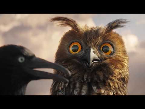 Youtube: Lustige Vögel auf der Stromleitung - Teil 1