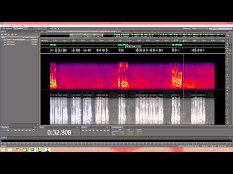 Youtube: MH17 crash: leaked tape proven FAKE by audio analysis. Анализ перехвата разговоров ополчения ДНР.