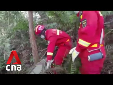 Youtube: China Eastern plane crash: Firefighters rush to flight MU5735 crash site