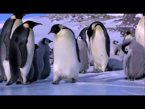 Youtube: Penguin Fail - Best Bloopers from Penguins Spy in the Huddle (Waddle all the Way)