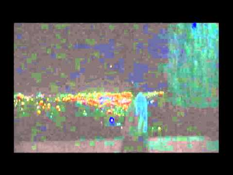 Youtube: Ufo sightings 2011: Jerusalem
