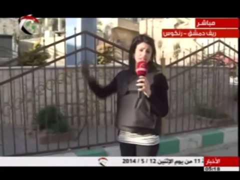 Youtube: Syrian News Reports at Rankoos-Qalamoon