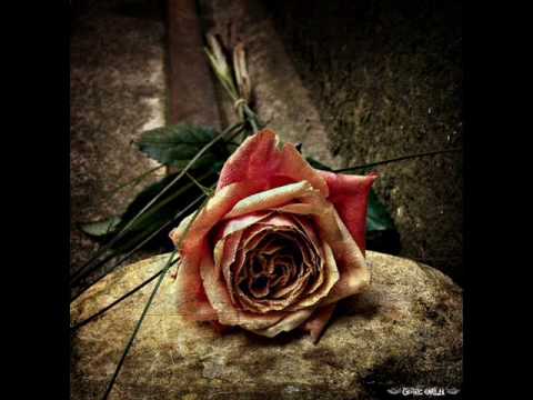 Youtube: Within Temptation - The Truth Beneath The Rose (lyrics)