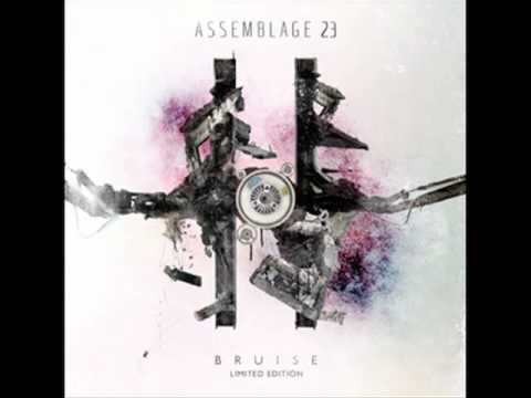 Youtube: Assemblage 23 - The Last Mistake