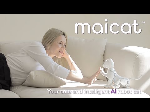 Youtube: Maicat, Your AI Robot Cat (2022)