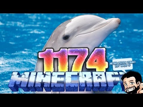 Youtube: MINECRAFT [HD+] #1174 - Flipper darf nicht sterben!! ★ Let's Play Minecraft