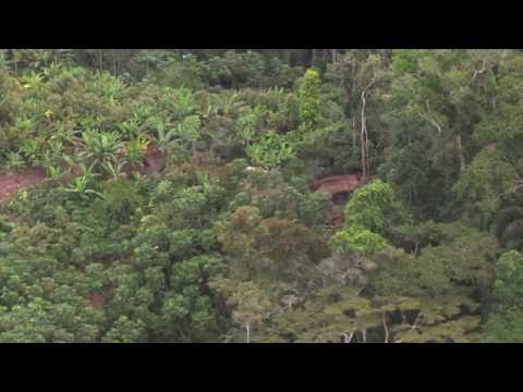 Youtube: Unkontaktierte Amazonas-Indianer: Erste Luftaufnahmen