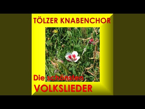 Youtube: Das Arme Dorfschulmeisterlein