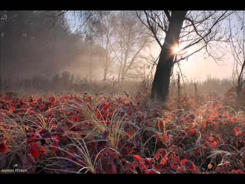 Youtube: Dvorak - Romance for piano and violin, Op.11