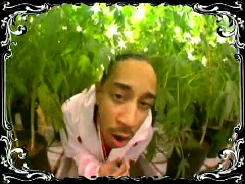 Youtube: Ludacris Blueberry yum yum with lyrics