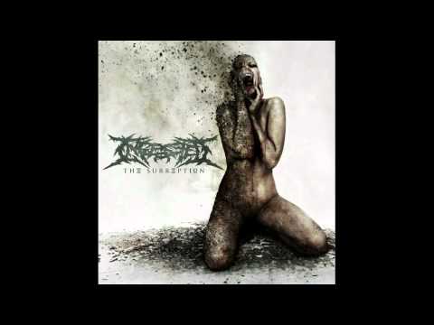 Youtube: Ingested - Castigation and Rebirth (NEW SONG 2011) With Lyrics