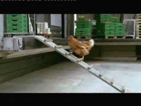 Youtube: Migros Werbung Huhn