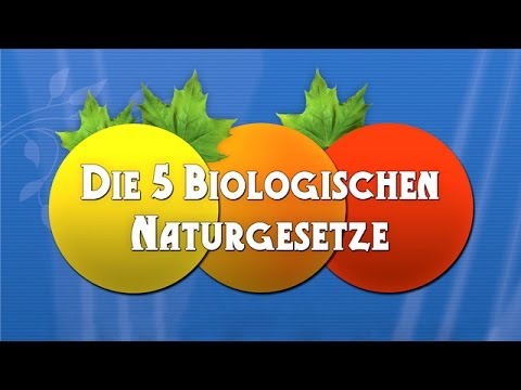Youtube: Die 5 Biologischen Naturgesetze - Die Dokumentation