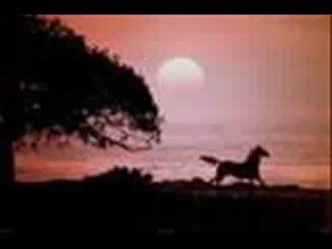 Youtube: Against The Wind - Bob Seger