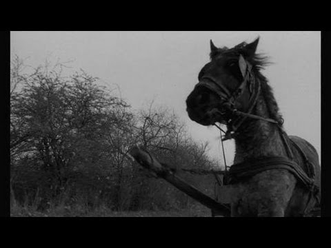 Youtube: The Turin Horse Trailer