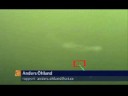 Youtube: Swedish Sea Monster Caught on Film