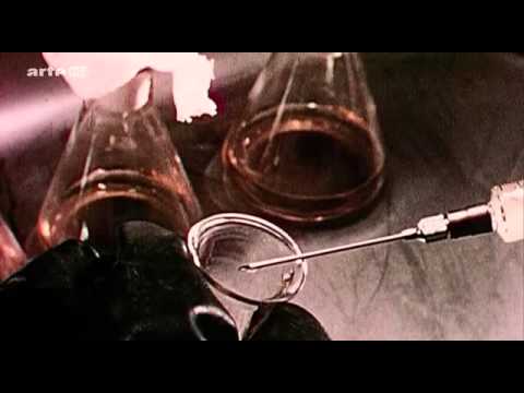 Youtube: LSD vom Trip zur Therapie german documentary  HQ