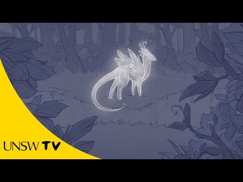 Youtube: The Butterfly Dragon