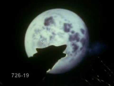 Youtube: Wolves Howling