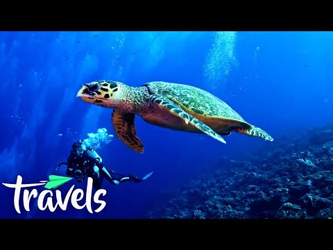Youtube: The 10 Best Scuba Diving Destinations in the World