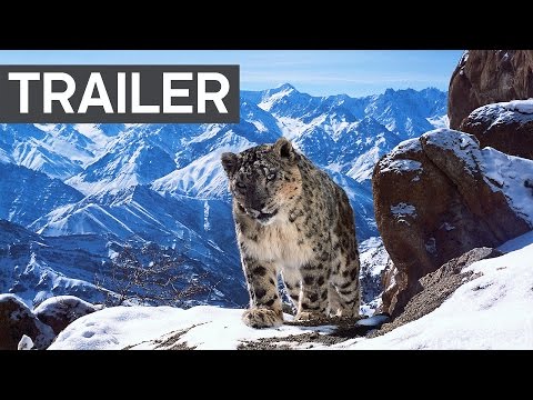 Youtube: Planet Earth II: Official Extended Trailer | BBC Earth