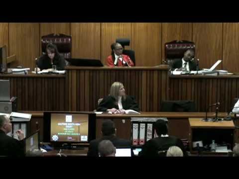 Youtube: Oscar Pistorius Trial: Tuesday 8 April 2014, Session 3