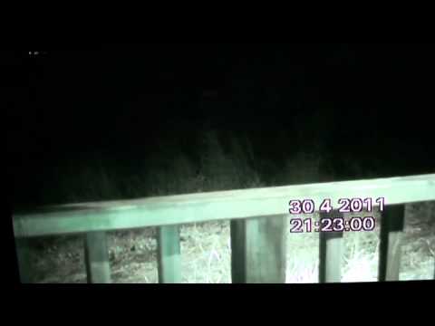 Youtube: REAL ALIEN SIGHTING 9! COMMUNICATION WITH ALIEN!!!!!!Spooky