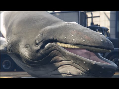Youtube: The Largest Mammal on Land
