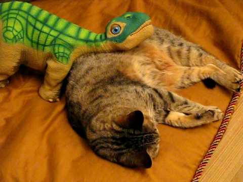 Youtube: Pleo lovin on my cat