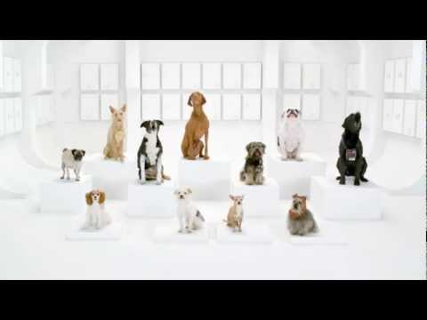 Youtube: Star Wars Song DOGS Commercial VW