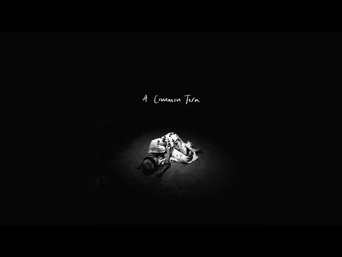 Youtube: Anna B Savage - A Common Tern (Official Video)