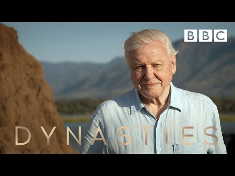 Youtube: Sir David Attenborough on his new series, Dynasties - BBC