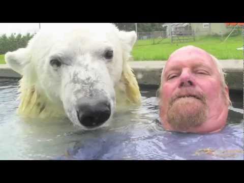 Youtube: The Only Man In The World Who Can Swim With A Polar Bear: Grizzly Man