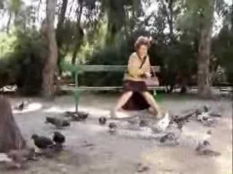 Youtube: Oma beim Taubenfüttern