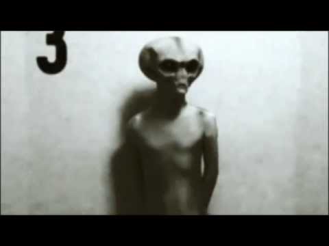 Youtube: Real Grey Alien Footage Caught On Tape