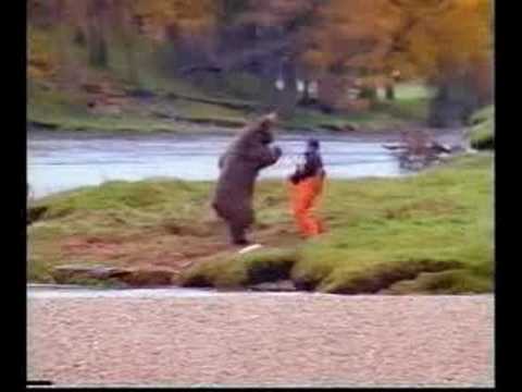 Youtube: Gesichter des Todes - Mann gegen Bär