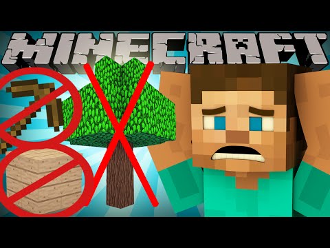 Youtube: If Wood was Rare - Minecraft