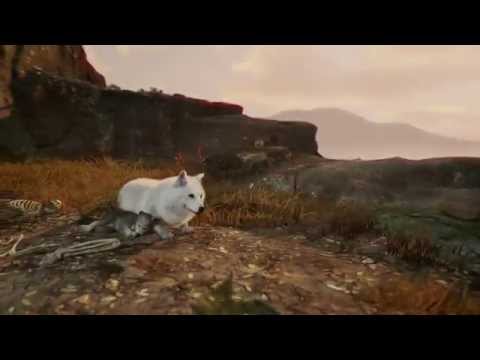 Youtube: WiLD on PS4 EXCLUSIVE | #PlayStationGC