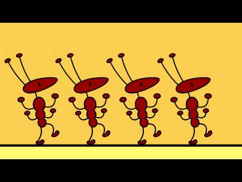 Youtube: TOM & das unsichtbare Erdbeermarmeladebrot mit Honig
