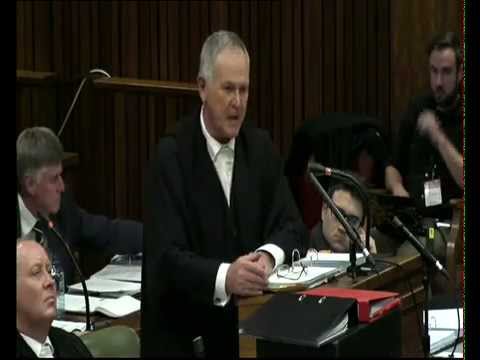 Youtube: Oscar Pistorius Trial: Friday: 08 August 2014, Session 2