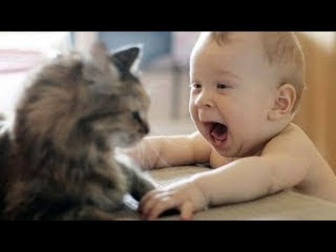 Youtube: Babys Lachen hysterisch auf Katzen Kompilierung 2014 [NEU HD]