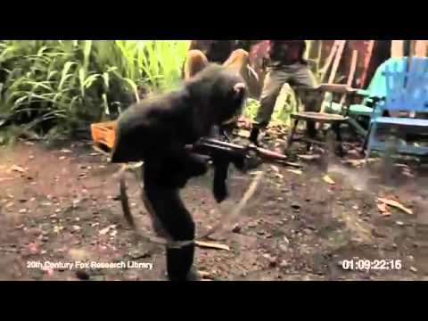 Youtube: Affe mit AK-47