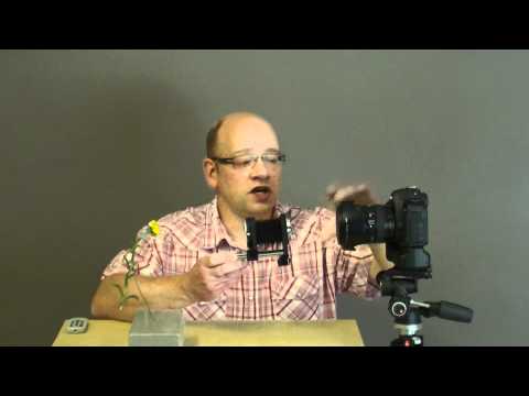 Youtube: Tutorial Makrofotografie mit dem Balgengerät