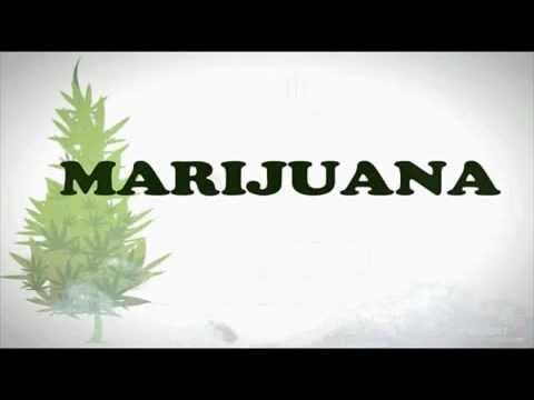 Youtube: The Truth & Facts of Marijuana