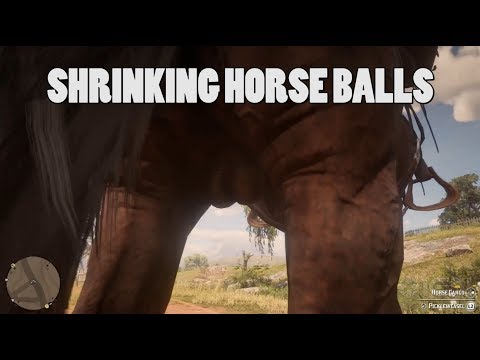 Youtube: Shrinking horse balls - Red Dead Redemption 2