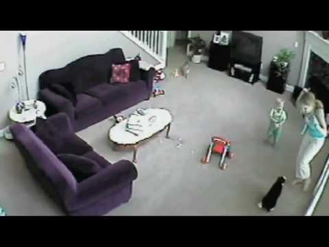 Youtube: katze verteidigt baby - Cat attacks Babysitter - (HQ).flv