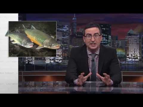 Youtube: Salmon Cannon: Last Week Tonight with John Oliver (HBO)